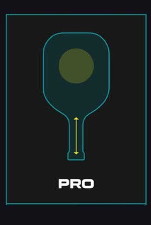 Diadem Warrior BluCore Pickleball Paddle